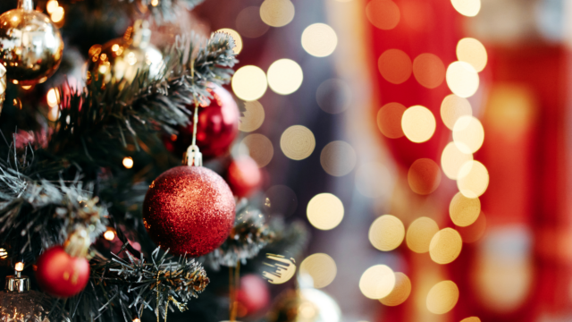 Christmas trees and asthma
