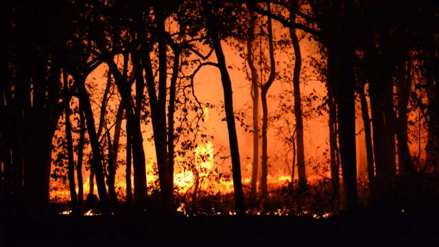 Bushfires and asthma