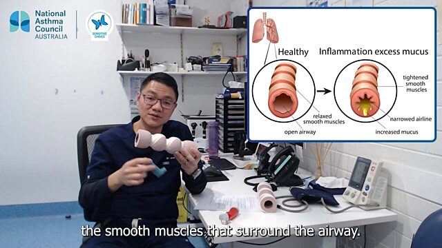 What is the difference between asthma relievers and asthma preventers?